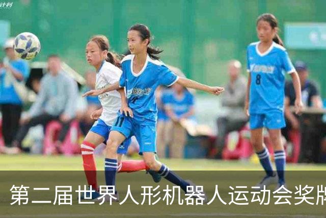 第二届世界人形机器人运动会奖牌、吉祥物发布
